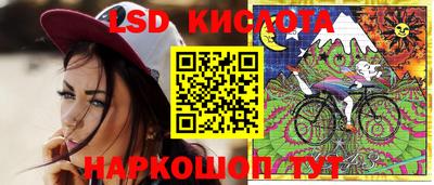мяу мяу мука Краснознаменск