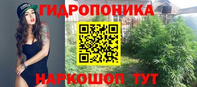 мяу мяу мука Краснознаменск