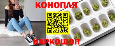 мяу мяу мука Краснознаменск