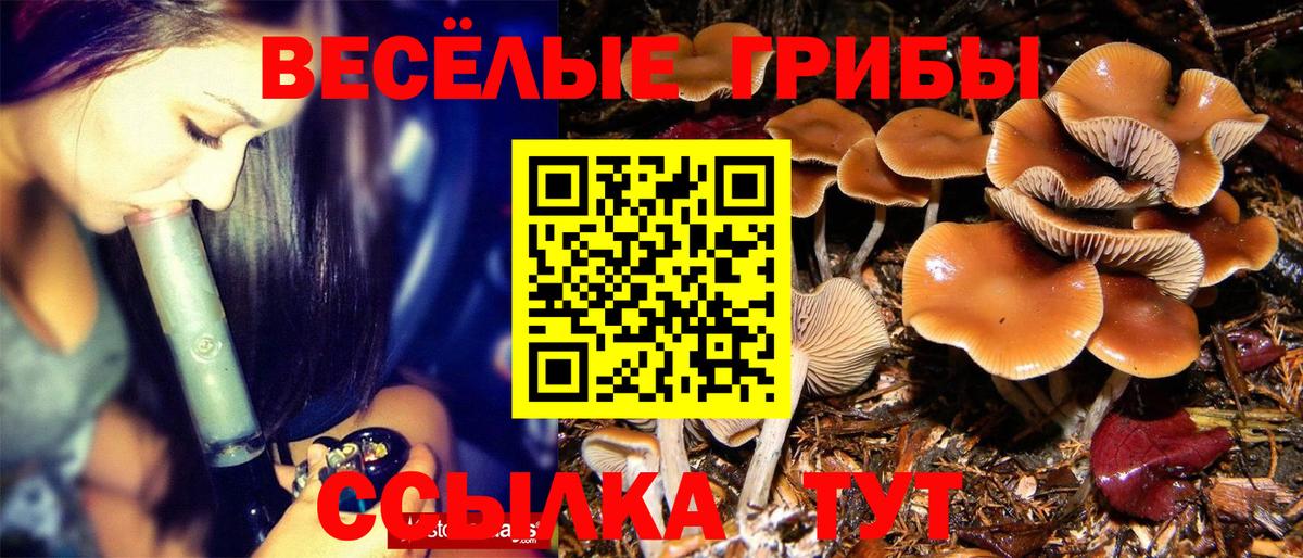 Жигулёвск  Галлюциногенные грибы GOLDEN TEACHER  Вход с VPN 
